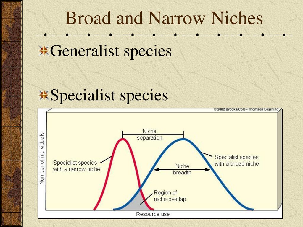 Evolution And Biodiversity Origins Niches And Adaptation Chapter 5